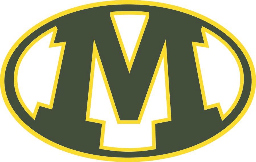 Medina City Schools Logo Medina City Schools Logo